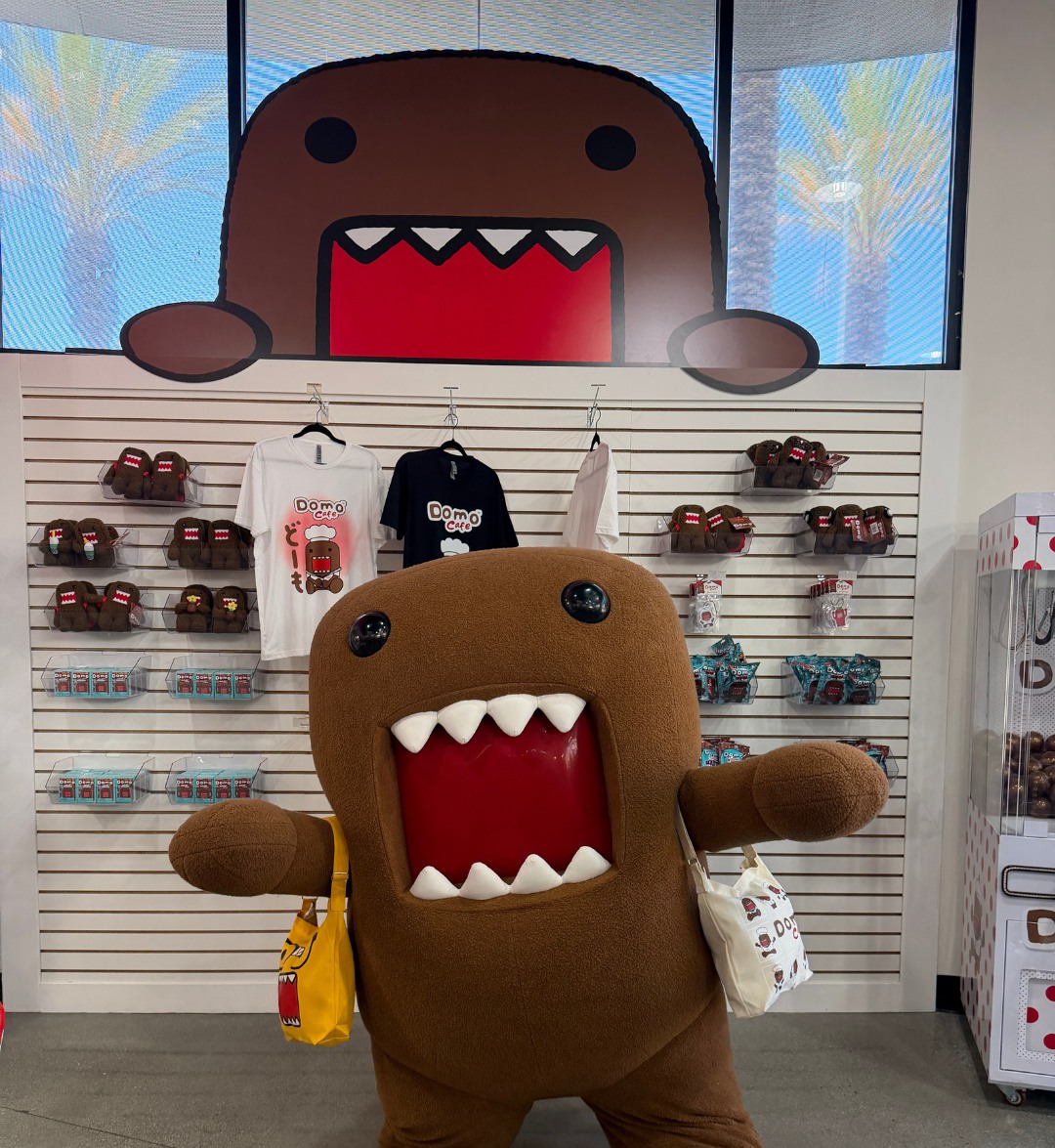 Domo mascot standing in the cafe merch shop